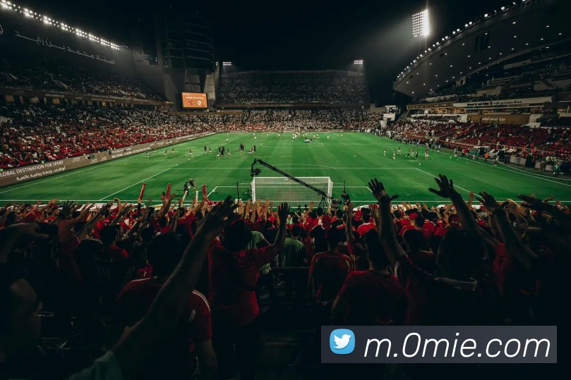 mksports官方app官网入口平台生态图